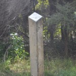 Signpost dating forest planting